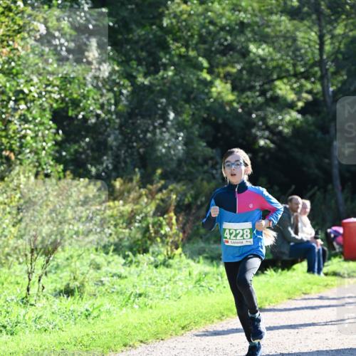 27.09.2026 - 35. Volkslauf durch das schöne Alstertal Dr. Thomas Lammeyer http://msf.ph/oto/10567905 27.09.2026 10:49:27 Laufen 4228 meine-sportfotos.de