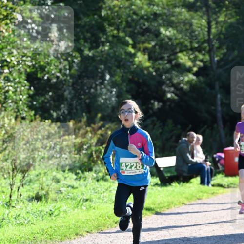 27.09.2026 - 35. Volkslauf durch das schöne Alstertal Dr. Thomas Lammeyer http://msf.ph/oto/10567907 27.09.2026 10:49:27 Laufen 4228 meine-sportfotos.de