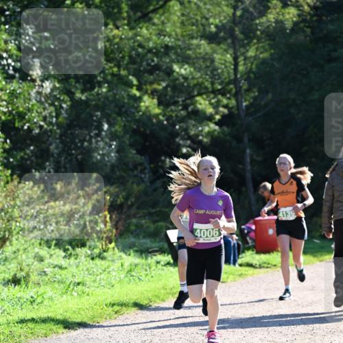 27.09.2026 - 35. Volkslauf durch das schöne Alstertal Dr. Thomas Lammeyer http://msf.ph/oto/10567909 27.09.2026 10:49:28 Laufen 4006, 4135 meine-sportfotos.de