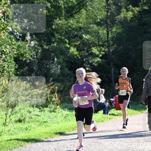 27.09.2026 - 35. Volkslauf durch das schöne Alstertal Dr. Thomas Lammeyer http://msf.ph/oto/10567911 27.09.2026 10:49:28 Laufen 23, 46, 4139 meine-sportfotos.de