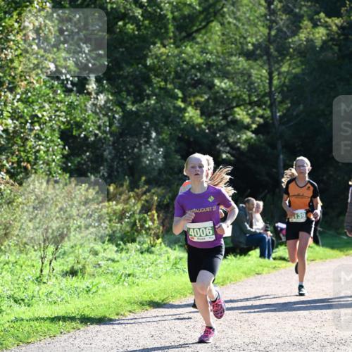 27.09.2026 - 35. Volkslauf durch das schöne Alstertal Dr. Thomas Lammeyer http://msf.ph/oto/10567912 27.09.2026 10:49:28 Laufen 23, 139, 4006 meine-sportfotos.de