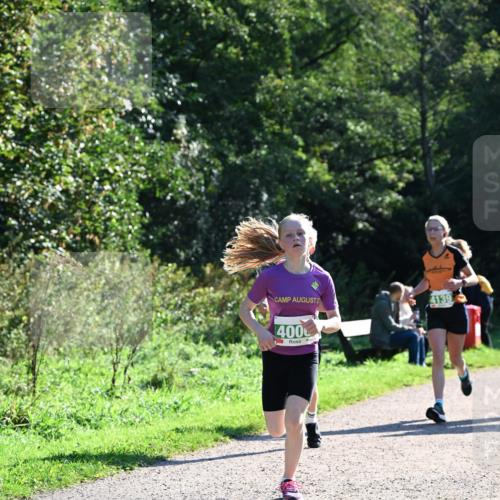27.09.2026 - 35. Volkslauf durch das schöne Alstertal Dr. Thomas Lammeyer http://msf.ph/oto/10567914 27.09.2026 10:49:29 Laufen 2, 400, 4139 meine-sportfotos.de