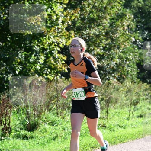 27.09.2026 - 35. Volkslauf durch das schöne Alstertal Dr. Thomas Lammeyer http://msf.ph/oto/10567929 27.09.2026 10:49:32 Laufen 4139 meine-sportfotos.de