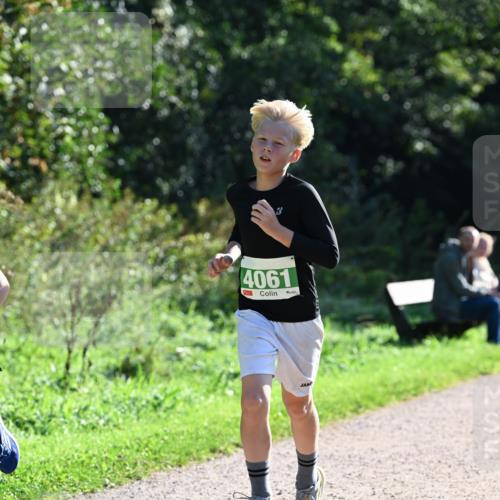 27.09.2026 - 35. Volkslauf durch das schöne Alstertal Dr. Thomas Lammeyer http://msf.ph/oto/10567938 27.09.2026 10:49:37 Laufen 4061 meine-sportfotos.de