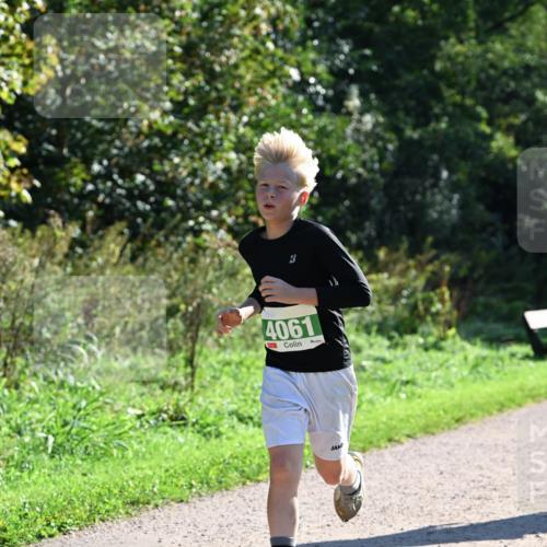 27.09.2026 - 35. Volkslauf durch das schöne Alstertal Dr. Thomas Lammeyer http://msf.ph/oto/10567944 27.09.2026 10:49:38 Laufen 4061 meine-sportfotos.de