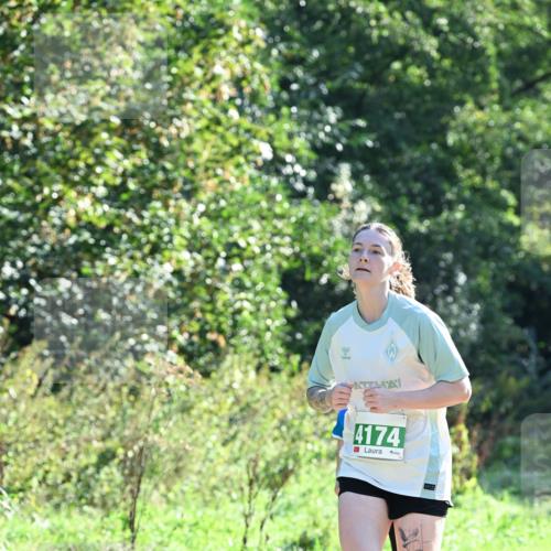 27.09.2026 - 35. Volkslauf durch das schöne Alstertal Dr. Thomas Lammeyer http://msf.ph/oto/10567951 27.09.2026 10:49:51 Laufen 4174 meine-sportfotos.de
