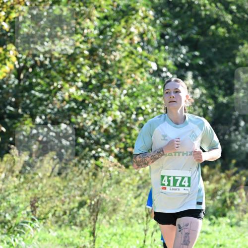 27.09.2026 - 35. Volkslauf durch das schöne Alstertal Dr. Thomas Lammeyer http://msf.ph/oto/10567953 27.09.2026 10:49:51 Laufen 4174 meine-sportfotos.de