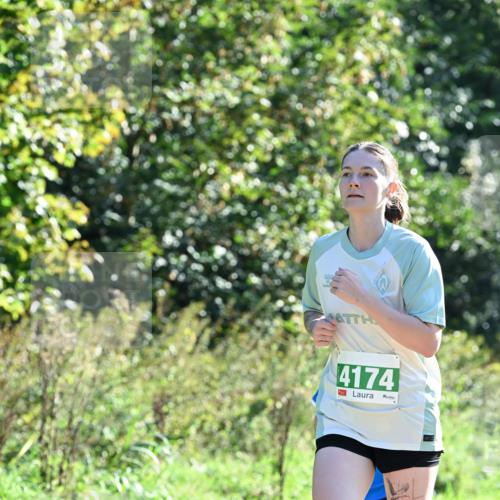 27.09.2026 - 35. Volkslauf durch das schöne Alstertal Dr. Thomas Lammeyer http://msf.ph/oto/10567955 27.09.2026 10:49:52 Laufen 4174 meine-sportfotos.de