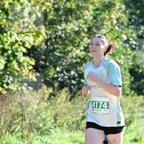 27.09.2026 - 35. Volkslauf durch das schöne Alstertal Dr. Thomas Lammeyer http://msf.ph/oto/10567956 27.09.2026 10:49:52 Laufen 4174 meine-sportfotos.de