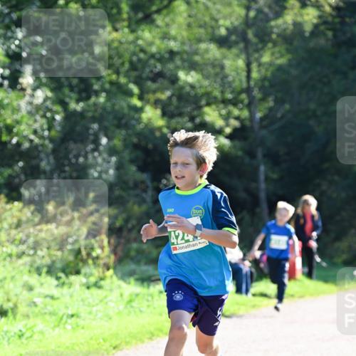 27.09.2026 - 35. Volkslauf durch das schöne Alstertal Dr. Thomas Lammeyer http://msf.ph/oto/10567958 27.09.2026 10:49:53 Laufen 424 meine-sportfotos.de