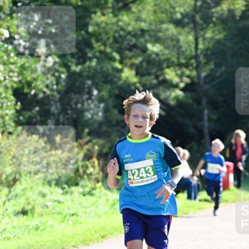 27.09.2026 - 35. Volkslauf durch das schöne Alstertal Dr. Thomas Lammeyer http://msf.ph/oto/10567959 27.09.2026 10:49:53 Laufen 4243 meine-sportfotos.de