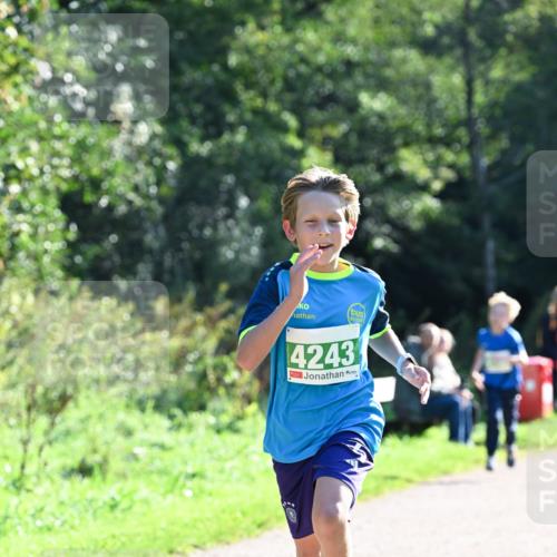 27.09.2026 - 35. Volkslauf durch das schöne Alstertal Dr. Thomas Lammeyer http://msf.ph/oto/10567960 27.09.2026 10:49:54 Laufen 4243 meine-sportfotos.de