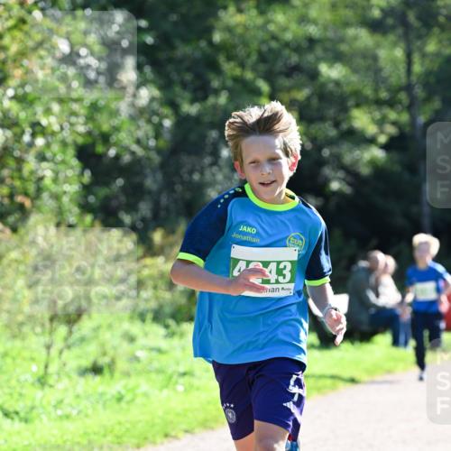 27.09.2026 - 35. Volkslauf durch das schöne Alstertal Dr. Thomas Lammeyer http://msf.ph/oto/10567961 27.09.2026 10:49:54 Laufen 43 meine-sportfotos.de
