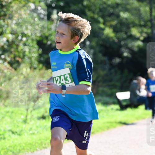 27.09.2026 - 35. Volkslauf durch das schöne Alstertal Dr. Thomas Lammeyer http://msf.ph/oto/10567963 27.09.2026 10:49:54 Laufen 4243 meine-sportfotos.de