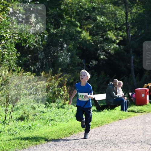 27.09.2026 - 35. Volkslauf durch das schöne Alstertal Dr. Thomas Lammeyer http://msf.ph/oto/10567964 27.09.2026 10:49:55 Laufen 414 meine-sportfotos.de