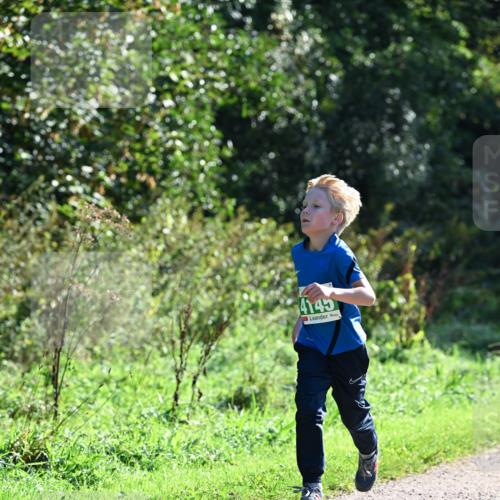 27.09.2026 - 35. Volkslauf durch das schöne Alstertal Dr. Thomas Lammeyer http://msf.ph/oto/10567970 27.09.2026 10:49:56 Laufen 4145 meine-sportfotos.de