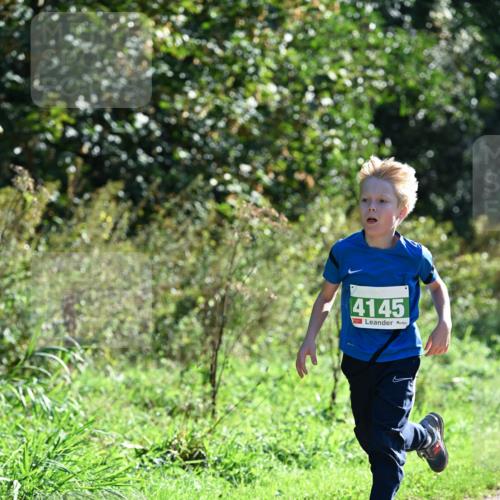 27.09.2026 - 35. Volkslauf durch das schöne Alstertal Dr. Thomas Lammeyer http://msf.ph/oto/10567973 27.09.2026 10:49:57 Laufen 4145 meine-sportfotos.de