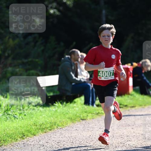 27.09.2026 - 35. Volkslauf durch das schöne Alstertal Dr. Thomas Lammeyer http://msf.ph/oto/10567982 27.09.2026 10:50:07 Laufen 4007 meine-sportfotos.de
