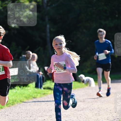 27.09.2026 - 35. Volkslauf durch das schöne Alstertal Dr. Thomas Lammeyer http://msf.ph/oto/10567985 27.09.2026 10:50:08 Laufen 40 meine-sportfotos.de