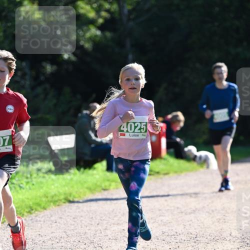 27.09.2026 - 35. Volkslauf durch das schöne Alstertal Dr. Thomas Lammeyer http://msf.ph/oto/10567987 27.09.2026 10:50:09 Laufen 4025, 07 meine-sportfotos.de