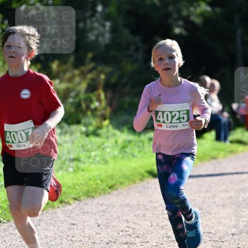 27.09.2026 - 35. Volkslauf durch das schöne Alstertal Dr. Thomas Lammeyer http://msf.ph/oto/10567991 27.09.2026 10:50:09 Laufen 4007, 4025 meine-sportfotos.de