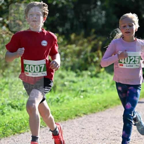 27.09.2026 - 35. Volkslauf durch das schöne Alstertal Dr. Thomas Lammeyer http://msf.ph/oto/10567992 27.09.2026 10:50:09 Laufen 4007, 4025 meine-sportfotos.de
