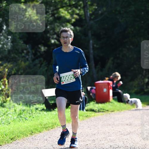 27.09.2026 - 35. Volkslauf durch das schöne Alstertal Dr. Thomas Lammeyer http://msf.ph/oto/10567997 27.09.2026 10:50:11 Laufen 4005 meine-sportfotos.de