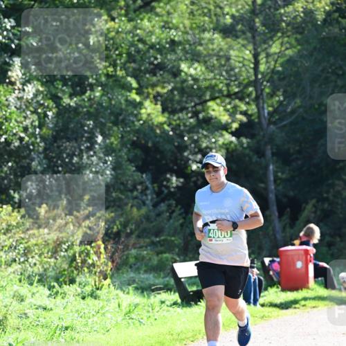 27.09.2026 - 35. Volkslauf durch das schöne Alstertal Dr. Thomas Lammeyer http://msf.ph/oto/10568011 27.09.2026 10:50:16 Laufen 4000 meine-sportfotos.de