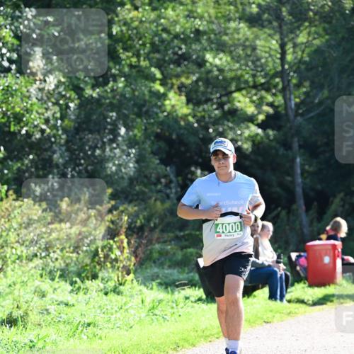 27.09.2026 - 35. Volkslauf durch das schöne Alstertal Dr. Thomas Lammeyer http://msf.ph/oto/10568013 27.09.2026 10:50:16 Laufen 4000 meine-sportfotos.de