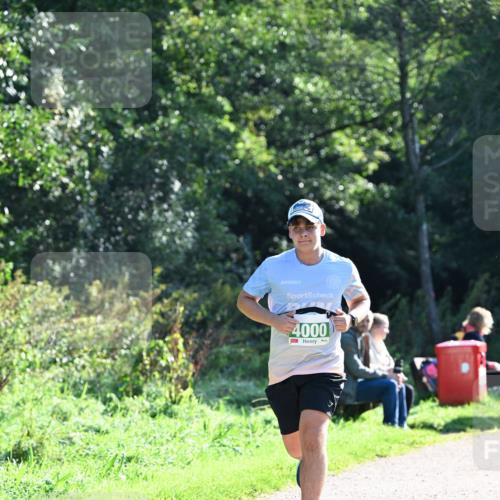 27.09.2026 - 35. Volkslauf durch das schöne Alstertal Dr. Thomas Lammeyer http://msf.ph/oto/10568014 27.09.2026 10:50:16 Laufen 4000 meine-sportfotos.de