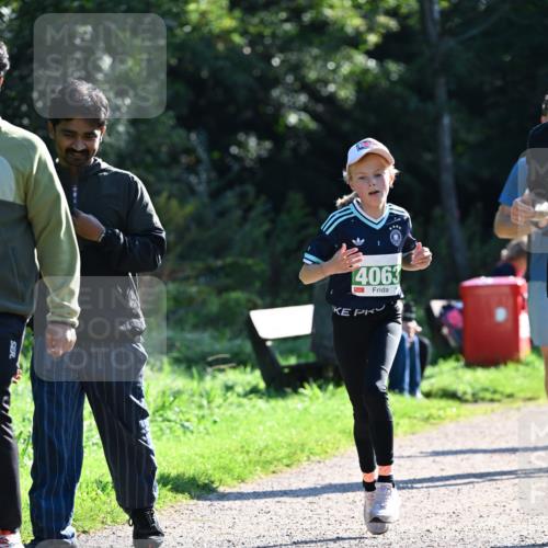 27.09.2026 - 35. Volkslauf durch das schöne Alstertal Dr. Thomas Lammeyer http://msf.ph/oto/10568040 27.09.2026 10:50:29 Laufen 14063 meine-sportfotos.de