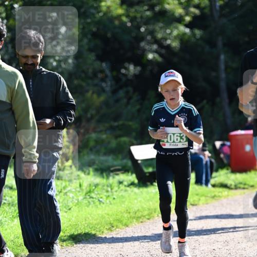 27.09.2026 - 35. Volkslauf durch das schöne Alstertal Dr. Thomas Lammeyer http://msf.ph/oto/10568042 27.09.2026 10:50:29 Laufen 4063 meine-sportfotos.de