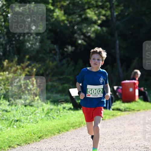 27.09.2026 - 35. Volkslauf durch das schöne Alstertal Dr. Thomas Lammeyer http://msf.ph/oto/10568064 27.09.2026 10:50:34 Laufen 5002 meine-sportfotos.de