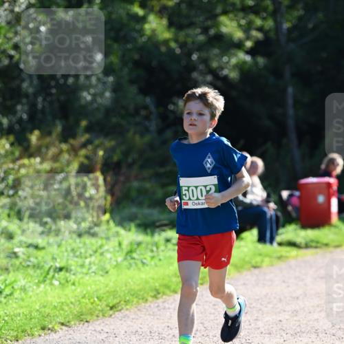 27.09.2026 - 35. Volkslauf durch das schöne Alstertal Dr. Thomas Lammeyer http://msf.ph/oto/10568066 27.09.2026 10:50:34 Laufen 5002 meine-sportfotos.de
