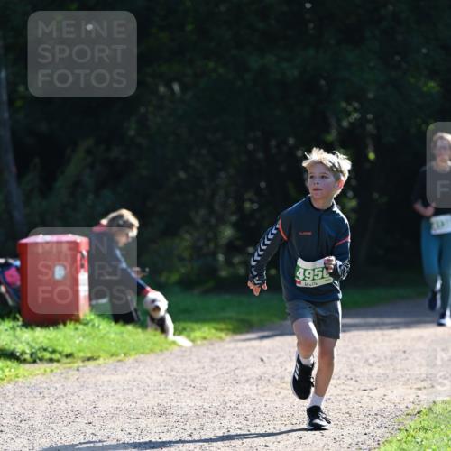 27.09.2026 - 35. Volkslauf durch das schöne Alstertal Dr. Thomas Lammeyer http://msf.ph/oto/10568099 27.09.2026 10:50:52 Laufen 4956 meine-sportfotos.de