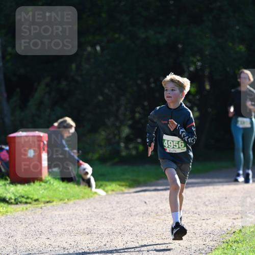 27.09.2026 - 35. Volkslauf durch das schöne Alstertal Dr. Thomas Lammeyer http://msf.ph/oto/10568100 27.09.2026 10:50:52 Laufen 4956 meine-sportfotos.de