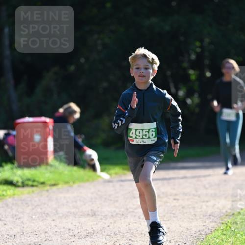 27.09.2026 - 35. Volkslauf durch das schöne Alstertal Dr. Thomas Lammeyer http://msf.ph/oto/10568107 27.09.2026 10:50:53 Laufen 4956 meine-sportfotos.de