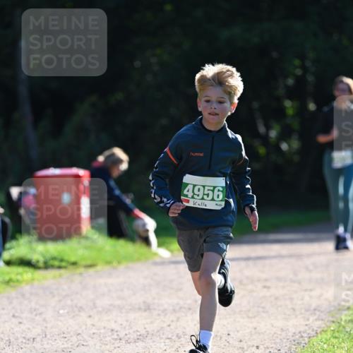 27.09.2026 - 35. Volkslauf durch das schöne Alstertal Dr. Thomas Lammeyer http://msf.ph/oto/10568108 27.09.2026 10:50:54 Laufen 4956 meine-sportfotos.de