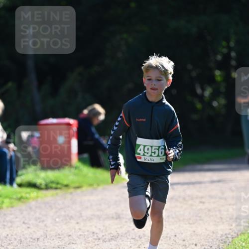 27.09.2026 - 35. Volkslauf durch das schöne Alstertal Dr. Thomas Lammeyer http://msf.ph/oto/10568109 27.09.2026 10:50:54 Laufen 4956 meine-sportfotos.de