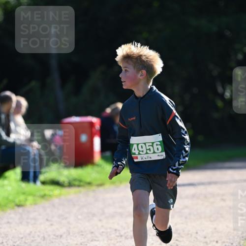 27.09.2026 - 35. Volkslauf durch das schöne Alstertal Dr. Thomas Lammeyer http://msf.ph/oto/10568111 27.09.2026 10:50:54 Laufen 4956 meine-sportfotos.de