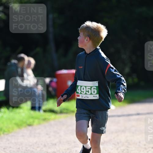 27.09.2026 - 35. Volkslauf durch das schöne Alstertal Dr. Thomas Lammeyer http://msf.ph/oto/10568114 27.09.2026 10:50:54 Laufen 4956 meine-sportfotos.de