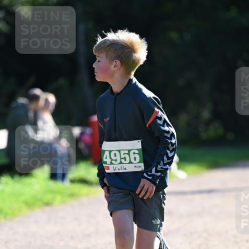 27.09.2026 - 35. Volkslauf durch das schöne Alstertal Dr. Thomas Lammeyer http://msf.ph/oto/10568116 27.09.2026 10:50:55 Laufen 4956 meine-sportfotos.de