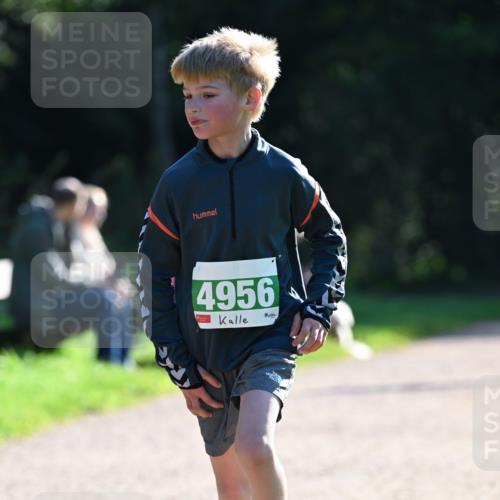 27.09.2026 - 35. Volkslauf durch das schöne Alstertal Dr. Thomas Lammeyer http://msf.ph/oto/10568117 27.09.2026 10:50:55 Laufen 4956 meine-sportfotos.de