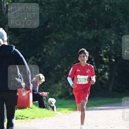 27.09.2026 - 35. Volkslauf durch das schöne Alstertal Dr. Thomas Lammeyer http://msf.ph/oto/10568141 27.09.2026 10:51:05 Laufen 4962 meine-sportfotos.de