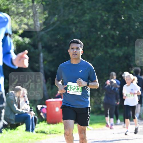 27.09.2026 - 35. Volkslauf durch das schöne Alstertal Dr. Thomas Lammeyer http://msf.ph/oto/10568219 27.09.2026 10:51:21 Laufen 4223 meine-sportfotos.de