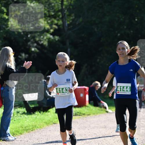 27.09.2026 - 35. Volkslauf durch das schöne Alstertal Dr. Thomas Lammeyer http://msf.ph/oto/10568243 27.09.2026 10:51:25 Laufen 4143, 4144 meine-sportfotos.de