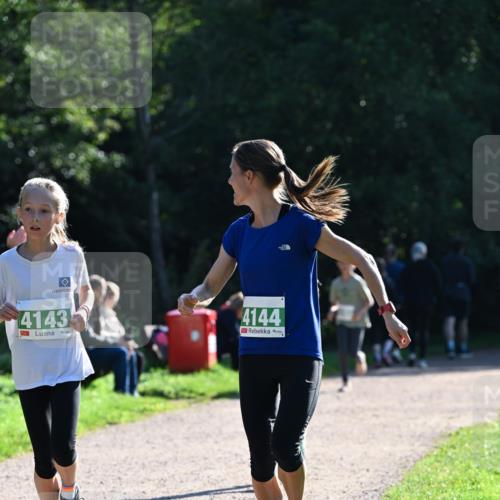 27.09.2026 - 35. Volkslauf durch das schöne Alstertal Dr. Thomas Lammeyer http://msf.ph/oto/10568246 27.09.2026 10:51:26 Laufen 4143, 4144 meine-sportfotos.de