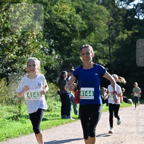 27.09.2026 - 35. Volkslauf durch das schöne Alstertal Dr. Thomas Lammeyer http://msf.ph/oto/10568253 27.09.2026 10:51:27 Laufen 4143, 4144, 120 meine-sportfotos.de