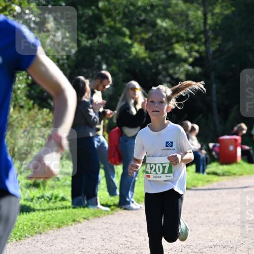 27.09.2026 - 35. Volkslauf durch das schöne Alstertal Dr. Thomas Lammeyer http://msf.ph/oto/10568255 27.09.2026 10:51:28 Laufen 4207 meine-sportfotos.de