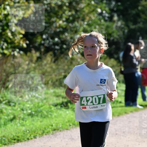 27.09.2026 - 35. Volkslauf durch das schöne Alstertal Dr. Thomas Lammeyer http://msf.ph/oto/10568262 27.09.2026 10:51:29 Laufen 4207 meine-sportfotos.de